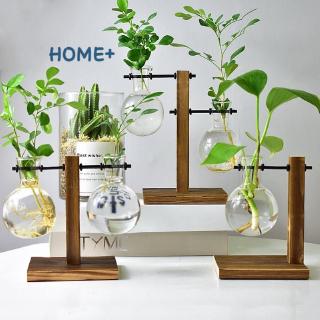 Bình thủy tinh trồng cây thủy canh hình bóng đèn kèm khay gỗ tinh tế để bàn trang trí cho văn phòng