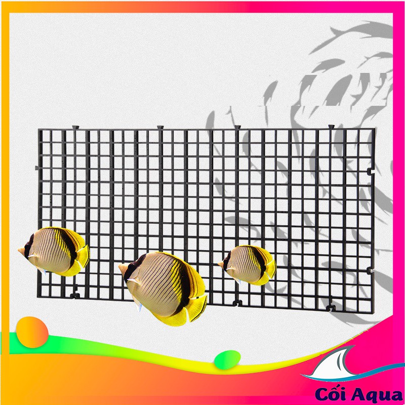 Tấm lưới lọc đáy bể cá Mius , vách bể bán cạn màu đen có khớp nối