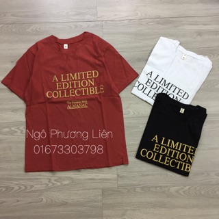 Phông hình các mẫu