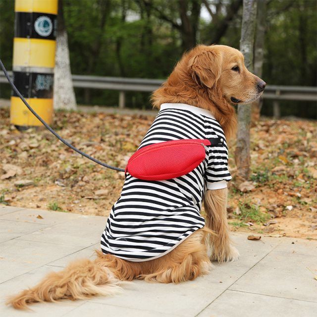 2021 rẻ™▦Big Dog Quần áo Golden Musa Mojarabra Multi-Classic Chó mùa hè Vest sọc mỏng
