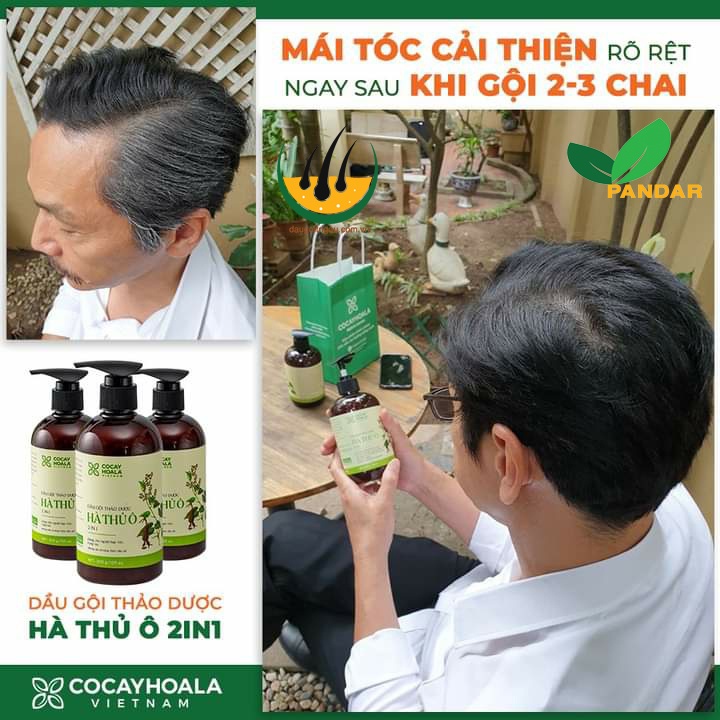 Dầu gội hà thủ ô, ngăn rụng tóc, làm chậm quá trình bạc tóc, giảm gãy rụng, Cỏ cây hoa lá, PANDAR