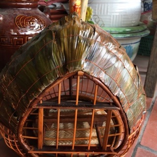 Lồng cu gáy quả đào