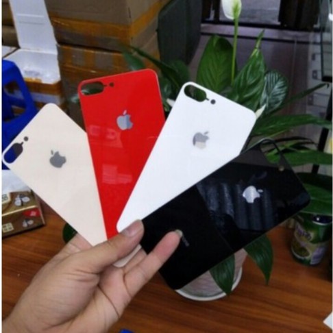 cường lực mặt sau lên IP6g- XS MAX đẹp lung linh-shopthaihn