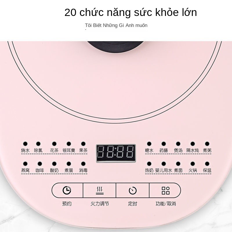 Bình chăm sóc sức khỏe gấu trúc nhỏ đa chức năng làm dày gia đình Ấm trà văn phòng mini, tổ yến, dung tích lớn