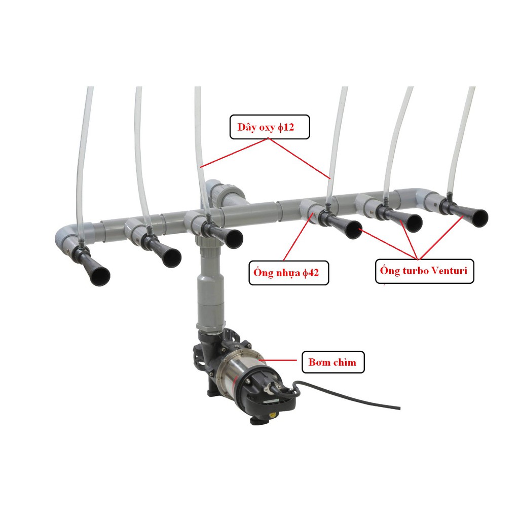 Combo 10 Ống sục khí Turbo Oxy Venturi