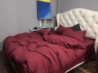 Set Chăn Ga Gối Cotton Đũi Đỏ Trơn