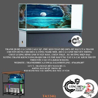 Tranh 3D dán bể cá cảnh hồ thuỷ sinh