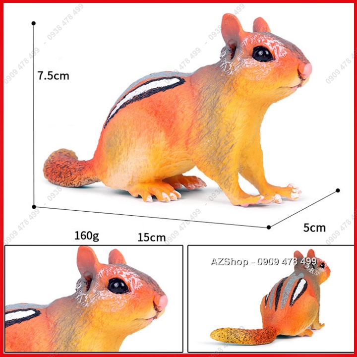 Mô hình Sóc Vàng  Sóc Nâu Sóc Bay- 7685.1