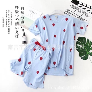 Combo 3b hoạ tiết nhiều màu