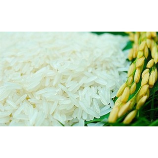 GẠO SÓC TRĂNG ST24 (bao bì mới)