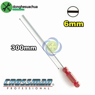 Vít dẹp 6mm dài 300mm Crossman 45-630