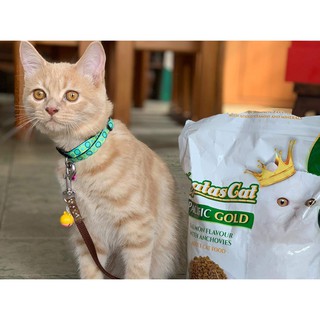 Hạt Aatas Cat Mix Cá Cơm Khô
