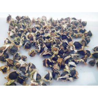 Hạt chùm ngây