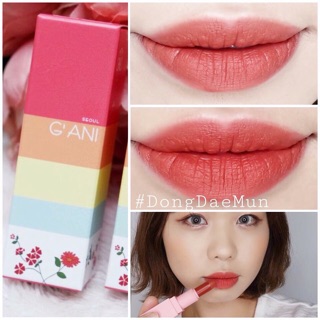 Son G'ani H Lipstick
