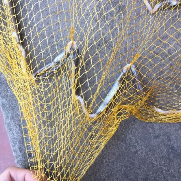 Chài dù tép bắt cá, chài tép bung 4m