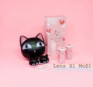 Khay lens mèo đen trắng
