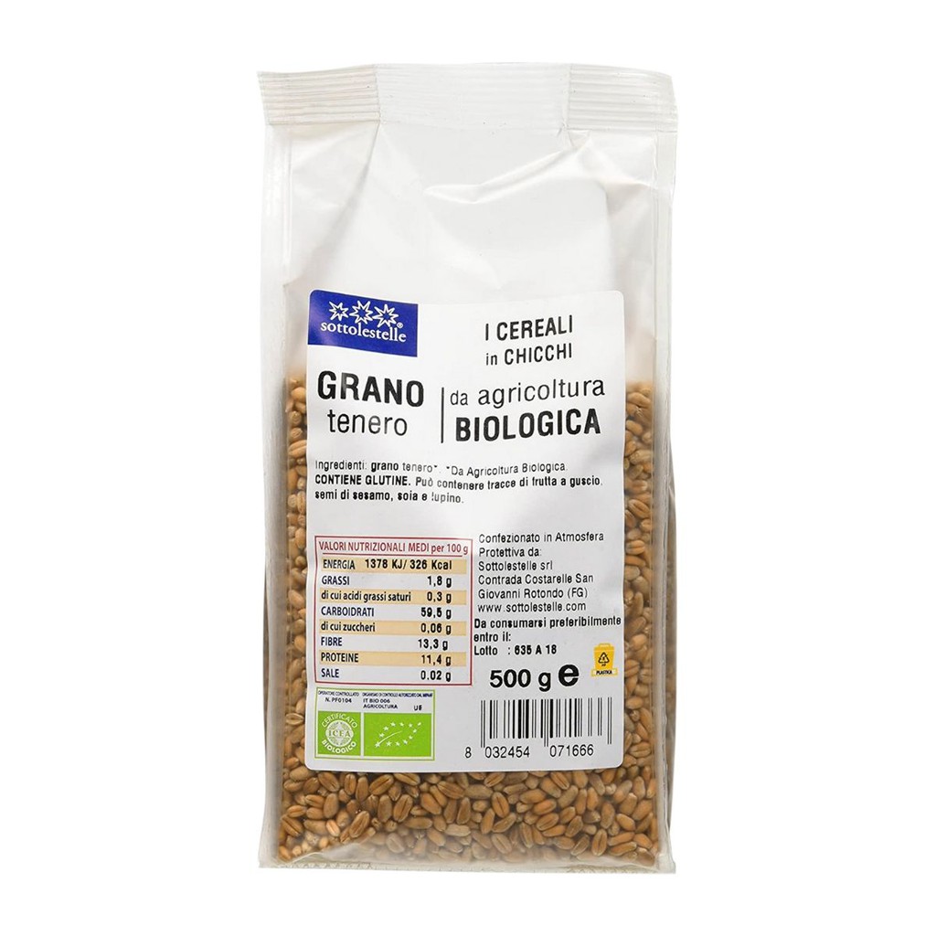 Hạt cỏ lúa mì hữu cơ Sotto 500g - Cỏ Lúa Mì Đỏ Wheatgrass (Triticum aestivum) | BigBuy360 - bigbuy360.vn