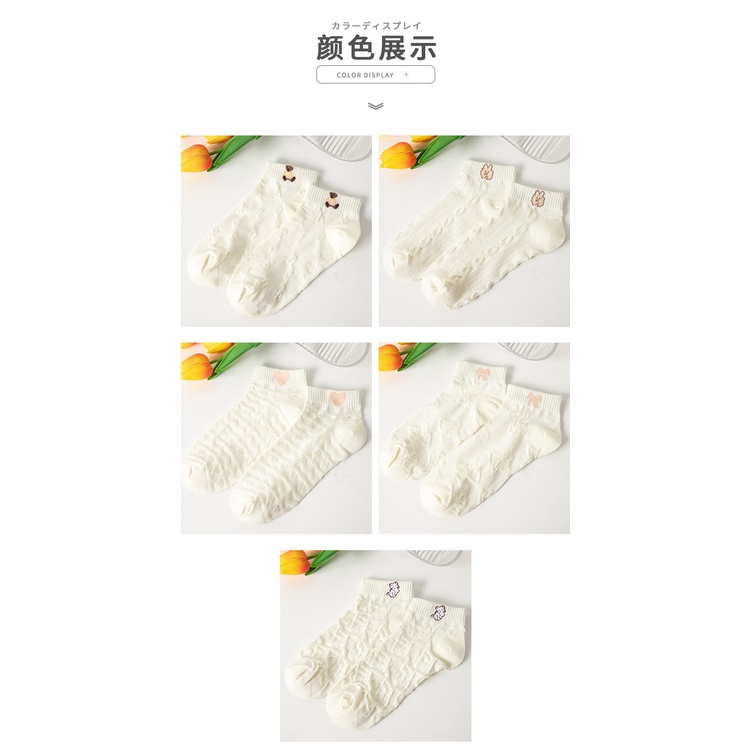Có sẵn - Set 5 đôi vớ cổ ngắn màu trắng nữ cotton co giãn tốt, vải dày dặn