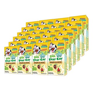 SỮA KUN TRÁI CÂY HƯƠNG NHIỆT ĐỚI LỐC 4 VỈ 110ML