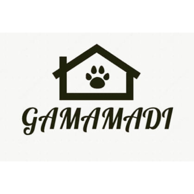 Gấu Mập Mậu Dịch