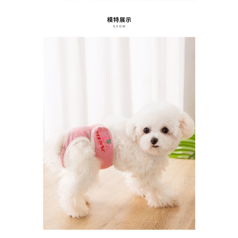 Quần chip sinh lý cho thú cưng, chó mèo