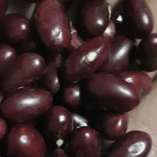 Hạt đậu đỏ Đà Lat