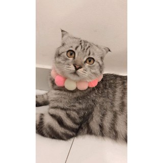 Vòng cổ cho chó mèo - trái lớn