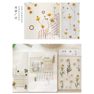 Sticker dán họa tiết hoa lá