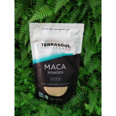 Bột Gelatinized Maca Terrasoul 170g