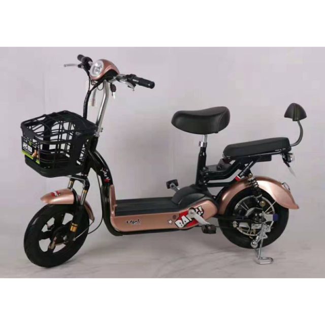 Xe đạp điện mini