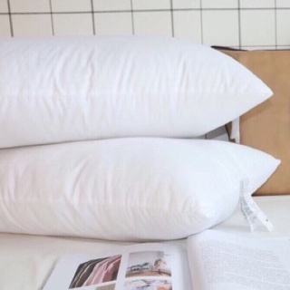 Ruột gối Muji 45x65 cao cấp ép hơi Dreamhomebedding (1 đôi)