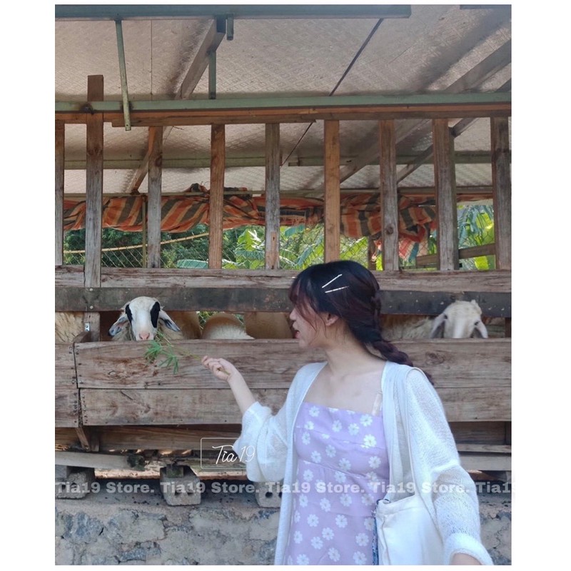 Áo cardigan len mỏng Tia19. Áo khoác len giấy ulzzang ( Ảnh thật) | BigBuy360 - bigbuy360.vn