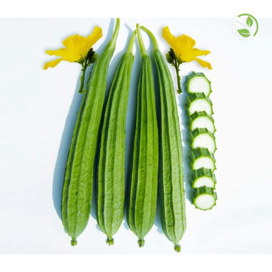 Hạt Giống Mướp Khía Thái Lan F1 PN-700 Phú Nông - Gói 1g - F1 Angled Gourd