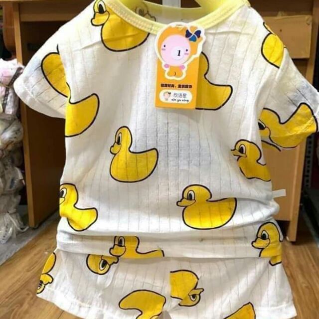 50b giấy chui
