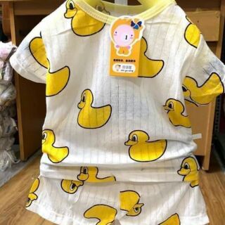 50b giấy chui