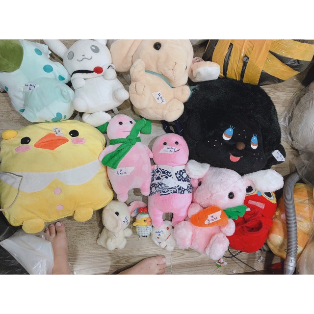 Gấu bông của Noi