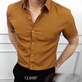 SƠ MI CỘC TAY 0020 MÀU NÂU VÀNG BÒ