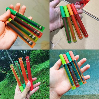 Son kem BERNICE - 08 màu ĐỎ NÂU