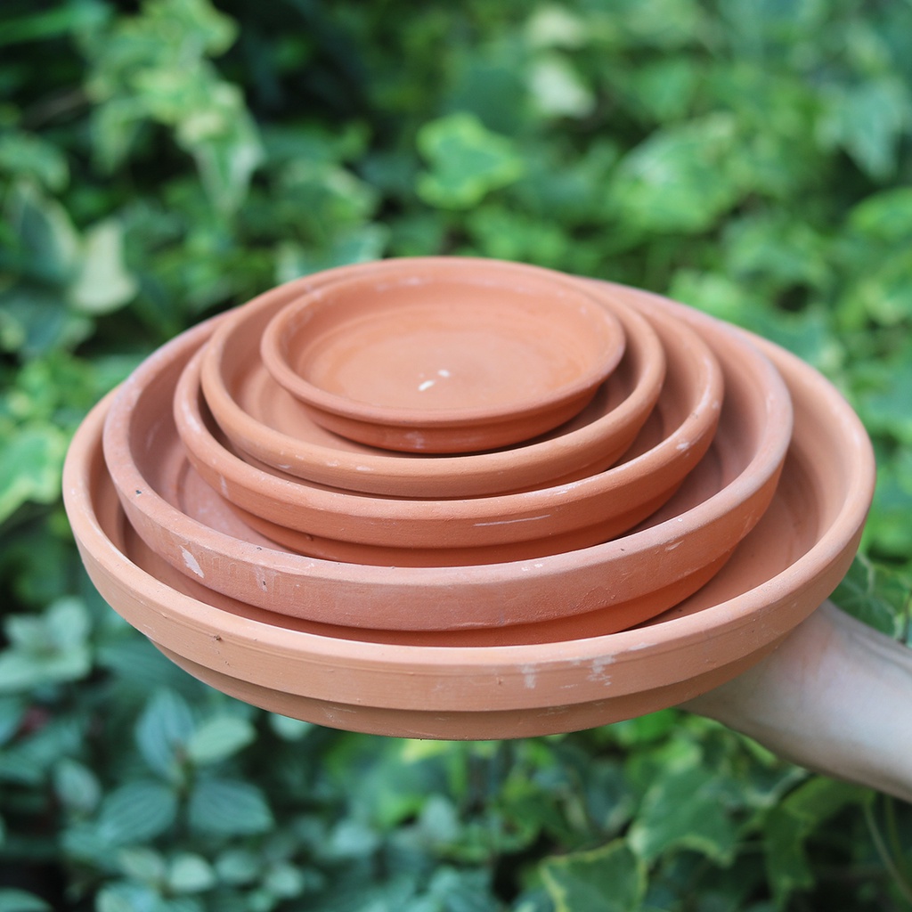 Dĩa lót chậu đất nung nhiều size