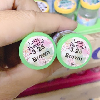 Lens độ màu -3.25