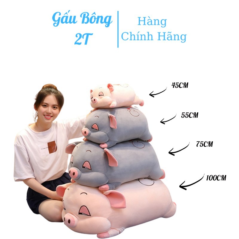 Gấu Bông gối ôm heo béo ú đáng yêu G03