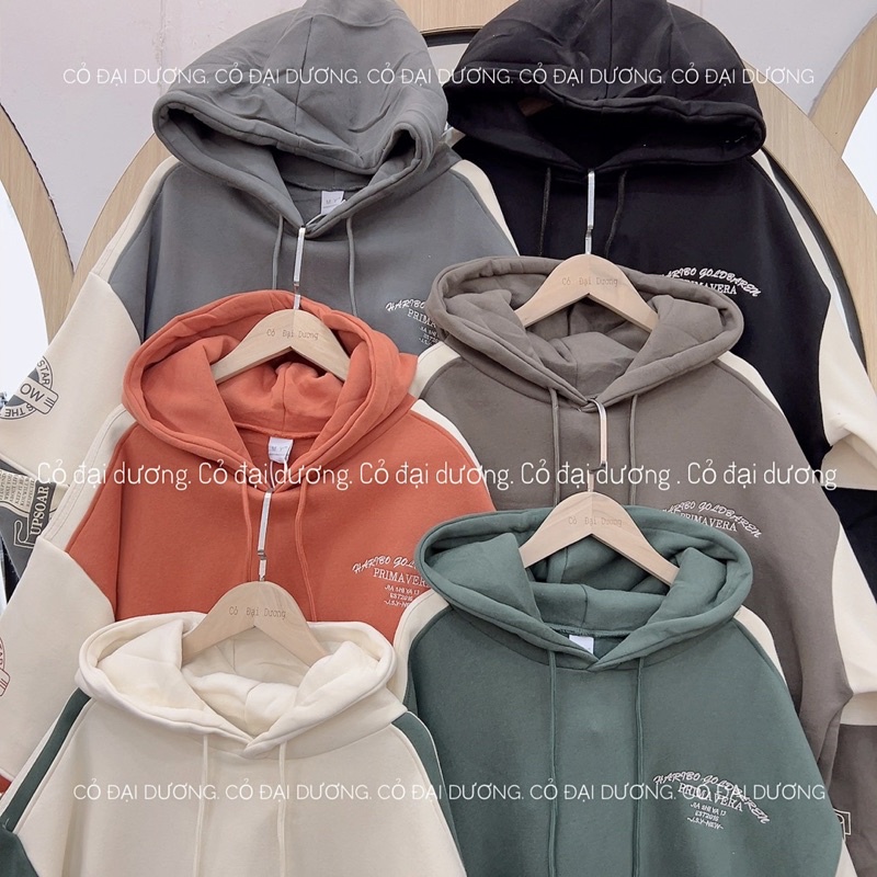 Áo nỉ hoodie goldbaren