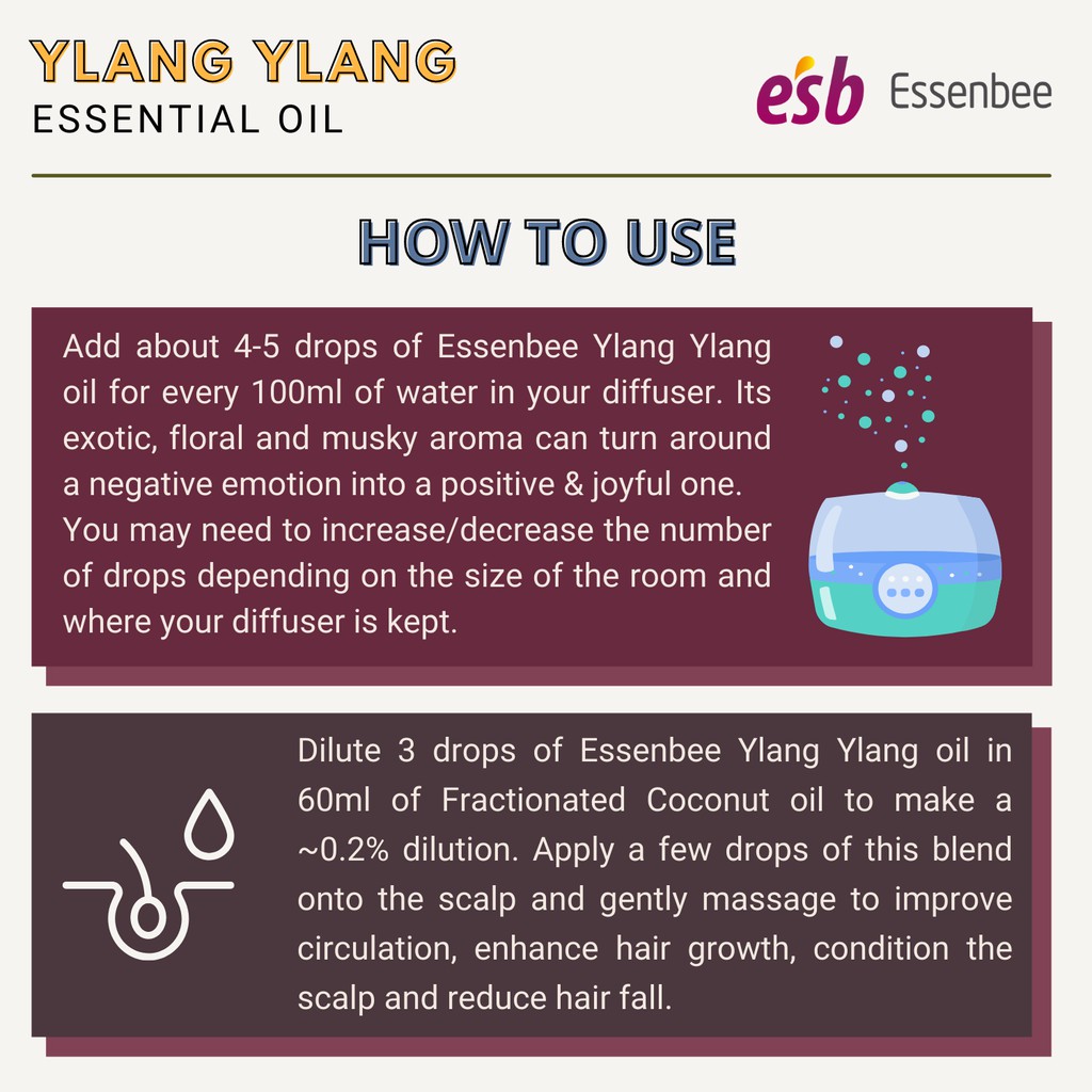 Tinh dầu Ngọc Lan Tây (Ylang Ylang) – Essenbee – 20ml