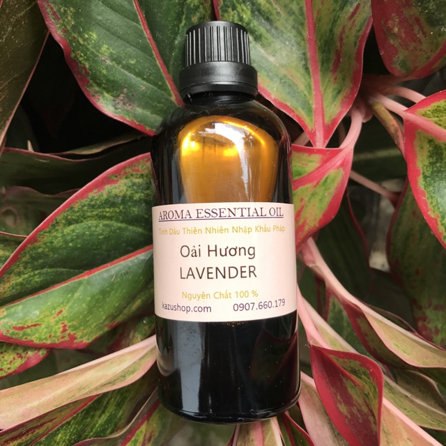 Tinh dầu lavender oải hương thiên nhiên nguyên liệu nhập khẩu pháp 100mL