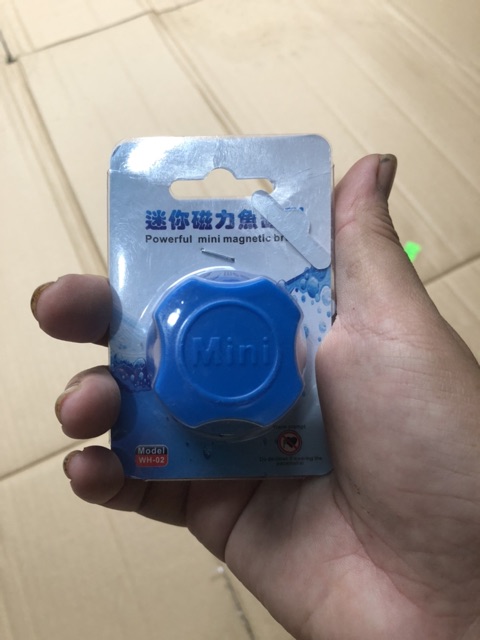 Nam châm chà rêu bám kính mini - 1 cái