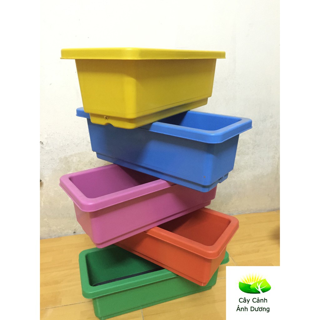 Set 02 Chậu nhựa thông minh trồng rau, trồng hoa, hình chữ nhật, giá treo chậu kích thước 48x20x16cm c/lượng, hg C/ty.