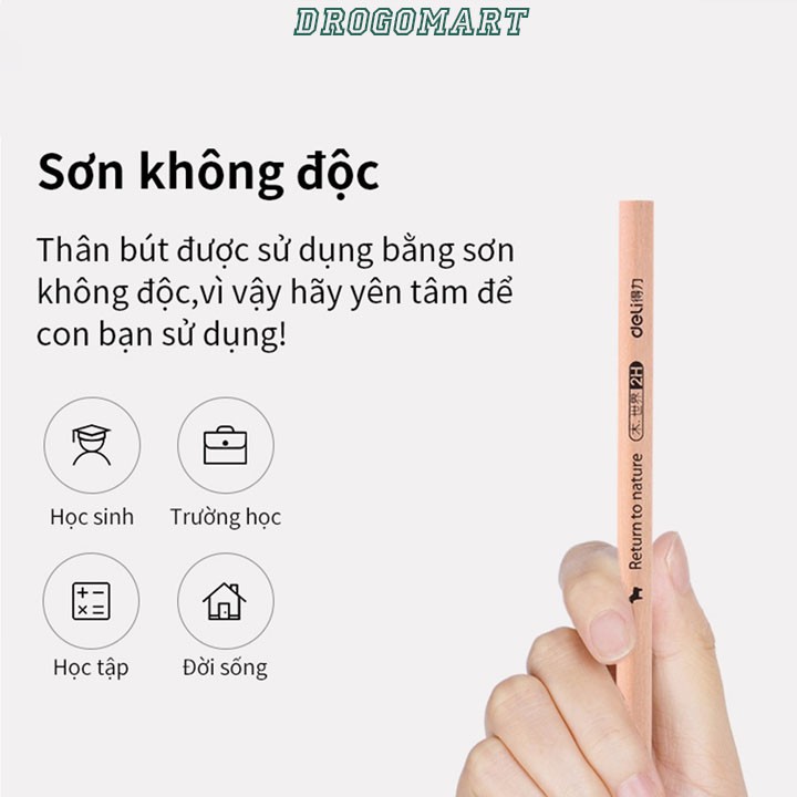 Hộp 50 Chiếc Bút Chì Gỗ 2B Loại Tốt - DG0279