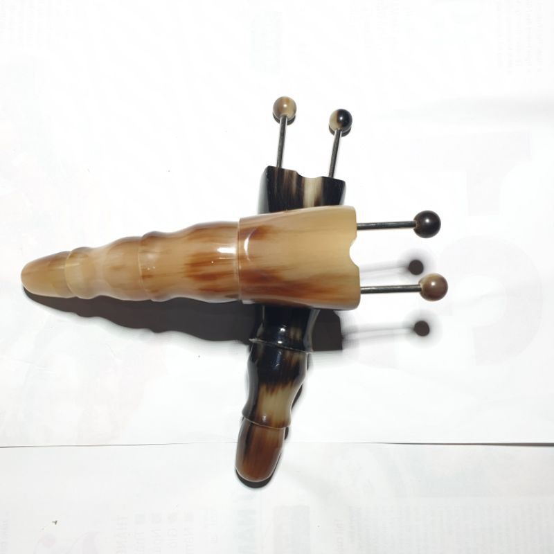 bọ cạp sừng cỡ nhỏ