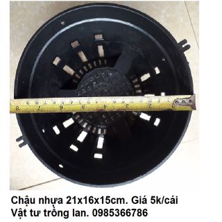 50 chậu nhựa đen phi 21 trồng lan chậu lan