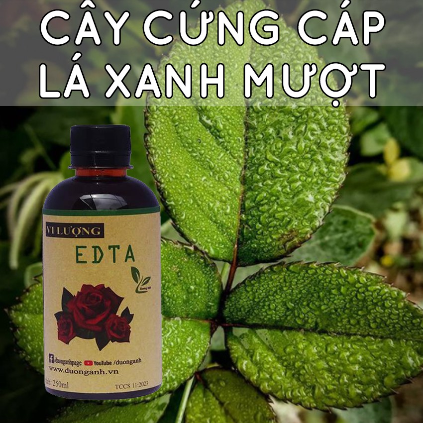 Phân bón vi lượng DOCNEEM trị vàng lá gân xanh, cho hoa hồng, hoa lan, cây cảnh trong nhà và ngoài trời, chai 250ml